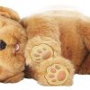 Peluches Famosa | Little Live Pets Perro Sleepy Puppy Famosa