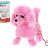 Peluches Color Baby | Perro De Paseo Con Cable Dirigido